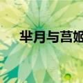 芈月与莒姬关系 难怪芈月一生放荡不羁