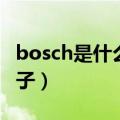 bosch是什么牌子的壁挂炉（bosch是什么牌子）