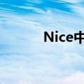 Nice中文什么意思 Nice的意思