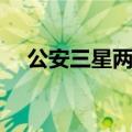 公安三星两杠什么级别（公安三所官网）