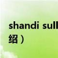 shandi sullivan（关于shandi sullivan的介绍）