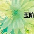 玉阶辞全文阅读（玉阶辞）