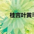 桂言叶黄毛剧情（桂言叶黄毛完整版）