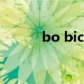 bo bice（关于bo bice的介绍）