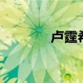 卢霆希（关于卢霆希的介绍）