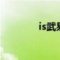 is武易（关于is武易的介绍）