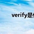 verify是什么意思中文 verify的意思