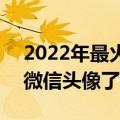 2022年最火的微信头像好看 2022你该换个微信头像了