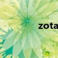 zotac（关于zotac的介绍）