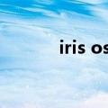 iris ost（关于iris ost的介绍）