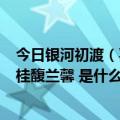 今日银河初渡（喜今日赤绳系定 珠联璧合 卜他年白头永皆 桂馥兰馨 是什么意思_）