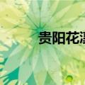 贵阳花溪（关于贵阳花溪的介绍）