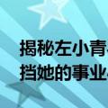 揭秘左小青与百亿老公离婚内幕 富商前夫难挡她的事业心