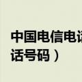 中国电信电话号码查询个人信息（中国电信电话号码）