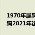 1970年属狗2021年运势完整版（1970年属狗2021年运势及运程）