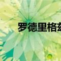 罗德里格兹（关于罗德里格兹的介绍）