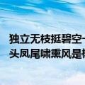 独立无枝挺碧空一头凤尾啸熏风蚂蚁新村 独立无枝挺碧空一头凤尾啸熏风是椰子树吗