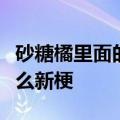 砂糖橘里面的梗有什么用（炫砂糖橘到底是什么新梗