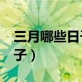 三月哪些日子适合领证（3月份适合领证的日子）