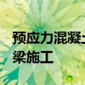 预应力混凝土连续梁桥例子 安全5分钟120桥梁施工