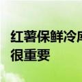 红薯保鲜冷库储存方法及注意事项（防腐保鲜很重要