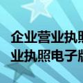 企业营业执照电子版在哪里可以下载（企业营业执照电子版）