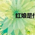 红娘是什么京剧(红娘是什么意思)