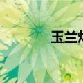 玉兰灯（关于玉兰灯的介绍）