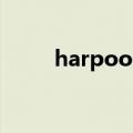 harpoon（关于harpoon的介绍）