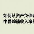 如何从资产负债表中看赊销收入净额计算(如何从资产负债表中看赊销收入净额)