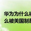 华为为什么被美国制裁的原因知乎（华为为什么被美国制裁）