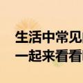 生活中常见的日本豆腐主要原料其实是什么 一起来看看吧