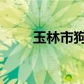 玉林市狗肉节 广西玉林荔枝狗肉节