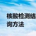 核酸检测结果网上查询 核酸检测结果网上查询方法