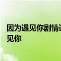 因为遇见你剧情详细解析 一张人物关系图高精度概括因为遇见你