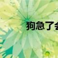 狗急了会跳墙何况人呢（狗急了）