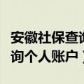 安徽社保查询个人账户缴费明细（安徽社保查询个人账户）