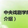 中央戏剧学院校草（关于中央戏剧学院校草的介绍）