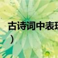 古诗词中表现无所畏惧（积极进取精神的名句）