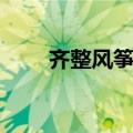 齐整风筝是什么（齐整风筝的意思）