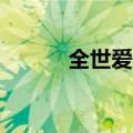 全世爱2（关于全世爱2的介绍）