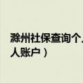 滁州社保查询个人账户缴费明细查询系统（滁州社保查询个人账户）