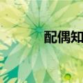 配偶知晓贷款声明（贷款声明）