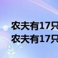 农夫有17只羊 除了九只都病死了还有几只（农夫有17只羊）