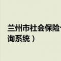 兰州市社会保险个人网上查询（兰州市社会保险个人网上查询系统）