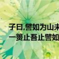 子曰,譬如为山未成一篑只吾止也,譬如平地（譬如为山未成一篑止吾止譬如平地）