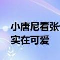 小唐尼看张伟丽比赛 又帅又爱耍宝的钢铁侠实在可爱