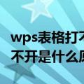 wps表格打不开是什么原因视频（wps表格打不开是什么原因）