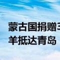 蒙古国捐赠3万只羊真的还是假的 蒙古捐赠的羊抵达青岛