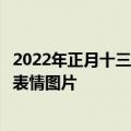 2022年正月十三新春祝福问候语，大年十三最温馨的祝福语表情图片